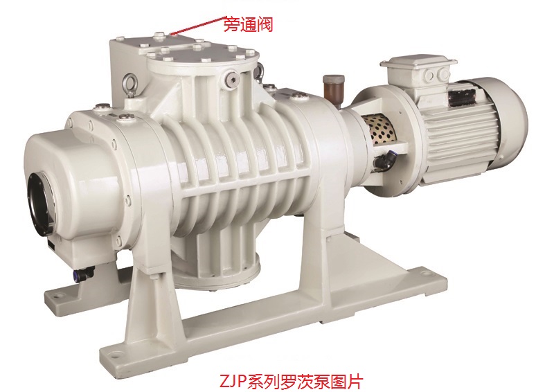 ZJP-300锛堜腑鏂囷級.jpg